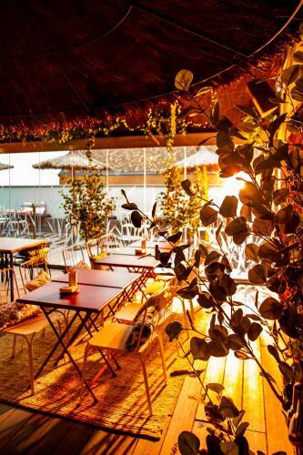 Albergue The Central House Madrid Lavapi�s