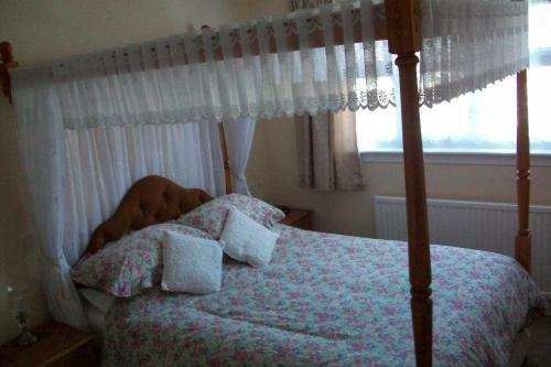 Hostal Bluehaven