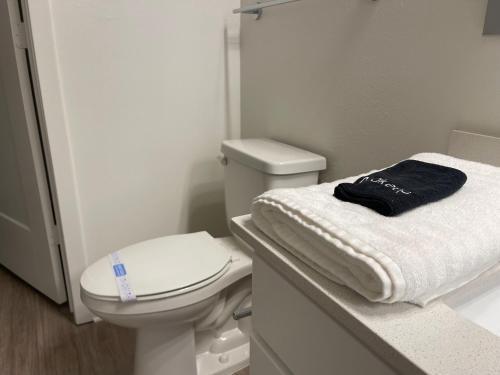 Apartamento Modern Oasis On Universal Blvd!