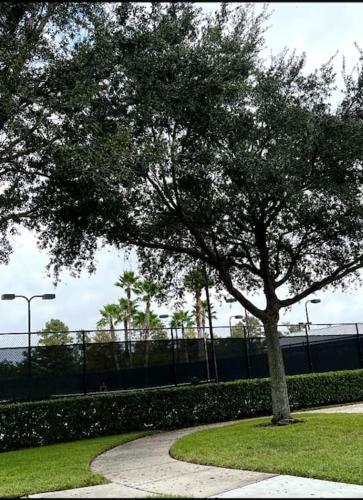Apartamento Parkside At Avalon Park