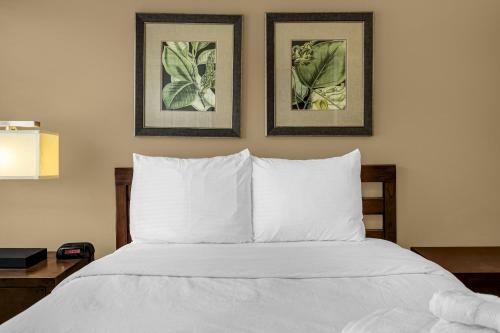 4br. Disney World Vacation Townhome