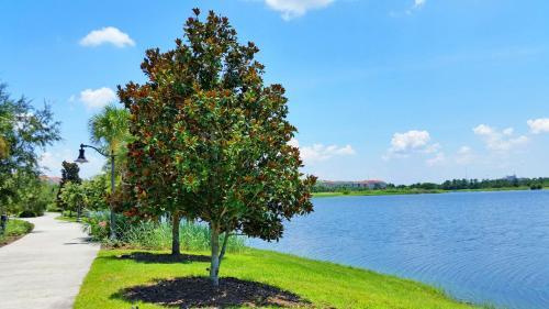 Apartamento 4102 Breakview Drive 409