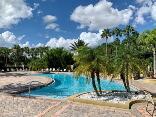 Pool*top Floor*forest Views*balcony*vistacay