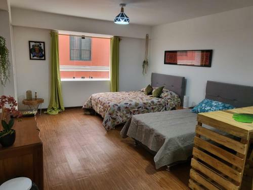 Espaciosos Y Lindos Mini Apartamentos
