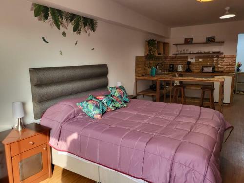 Espaciosos Y Lindos Mini Apartamentos