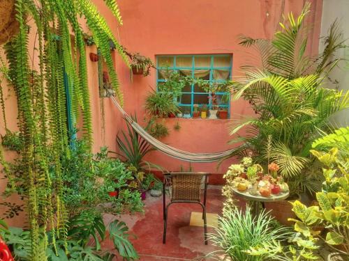 Bed & Breakfast Quinta Miraflores