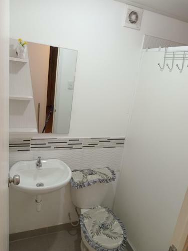 Apartamento Departamento Amoblado 9vno Piso