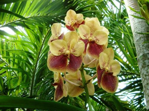 Apartamento Villa Florie Condo - Economic Accommodations