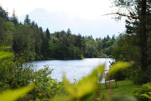 Lake Of The Woods Resort