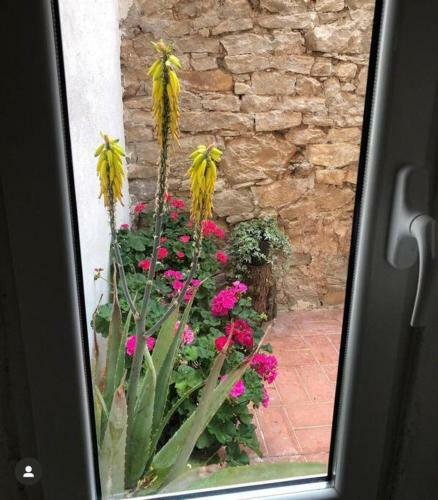 Casa Andorinhas 1
