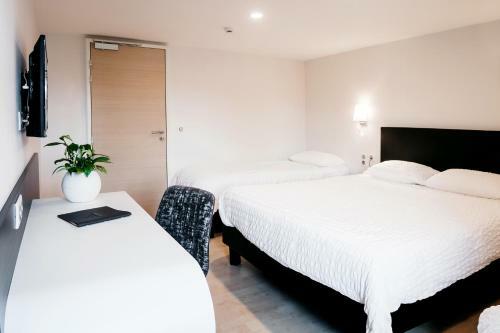 Hotel Au Lion Rouge