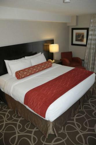 Hotel Admiral Inn
