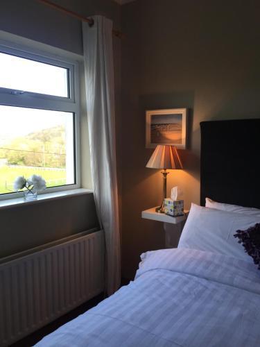 Bed & Breakfast Errismore House