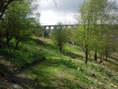 Hewenden Mill Holiday Homes