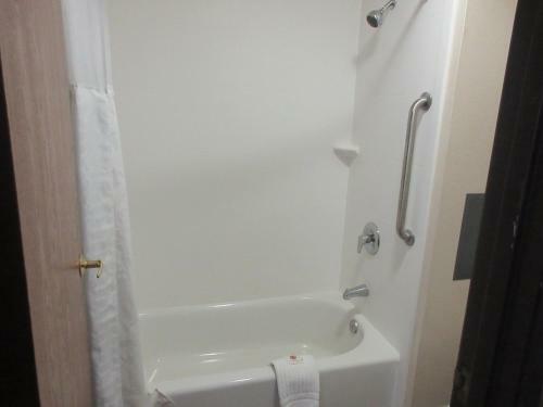 Hotel Comfort Inn Alamosa