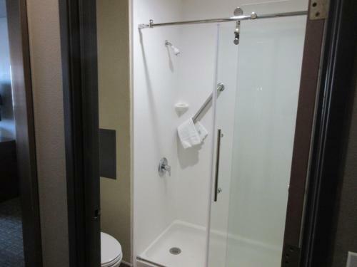 Hotel Comfort Inn Alamosa