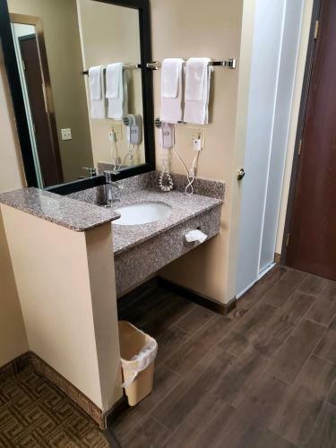 Hotel Comfort Inn Alamosa