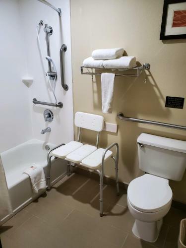 Hotel Comfort Inn Alamosa