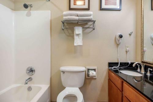 Hotel Comfort Inn Alamosa