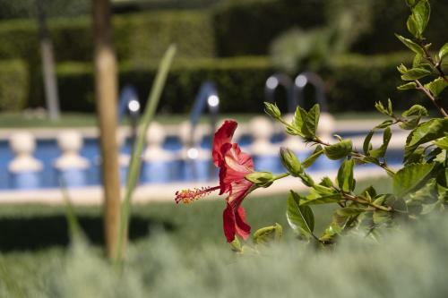 Apartamento Isleta Marina Oasis