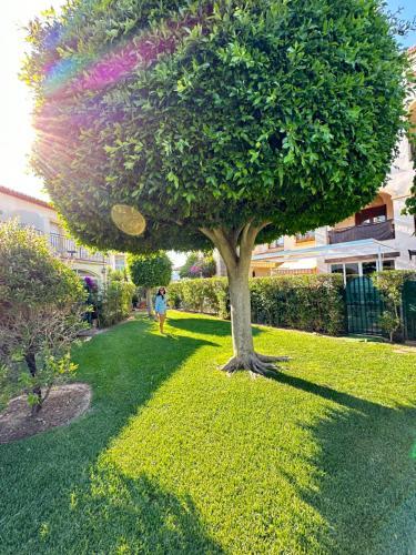 Apartamento Alisa Costa Blanca