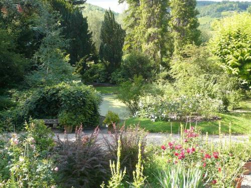 Bed & Breakfast La Pluie De Roses