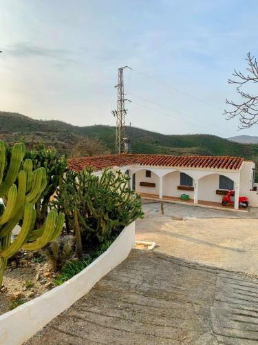 Apartamento Cortijo Grande Studio