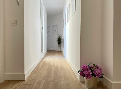 Cariatides Sky Apartment