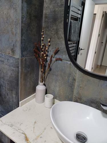 Apartamento Colon 13