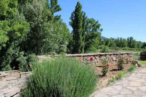 El Molino De Villel