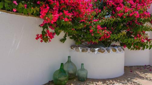 Casa de Juanito Vi�uela By Ruralidays