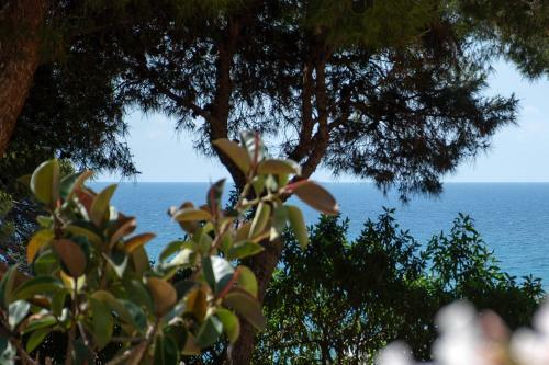 Apartamento Little Gem In Villajoyosa