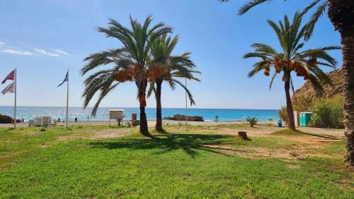 Apartamento Sol Mediterraneo Palm Beach Six