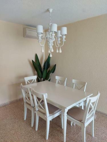 Sunny, Spacious 3 Bedroom Apartment With Seaview