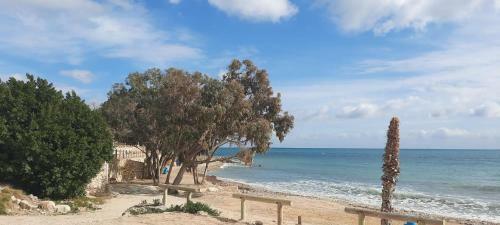 Apartamento Bm5a, Gran �tico Duplex Con Dos Terrazas Cerca El Mar