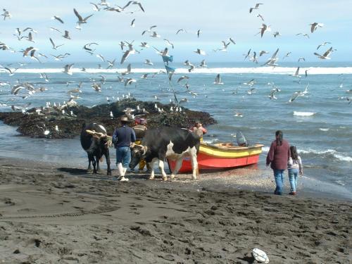 Caba�as Mar De Duao