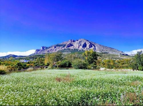 Casa Rural Rinc�n De Los V�lez.