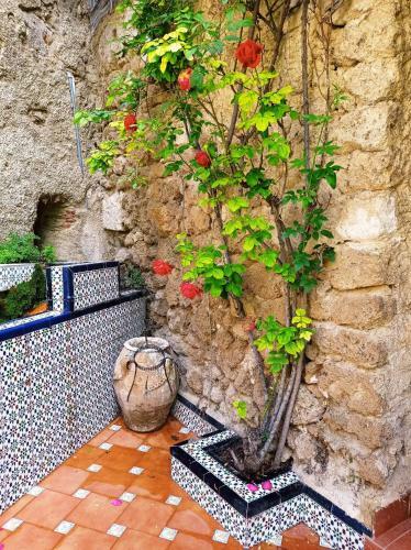 Apartamento Los Ca�os De La Casa Viva