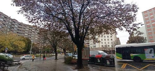 Apartamento Piso Eugenio Fadrique Vigo