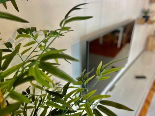 Apartamento Fragueiro 186