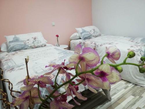 Apartamento Confortable Piso Acuarela Junto Centro Ciudad