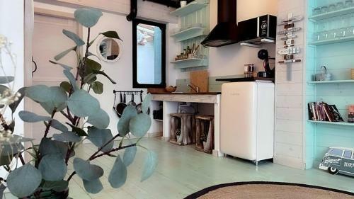 New Cozy Beach Apartment, Wifi