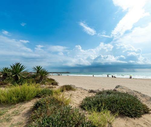 Apartamento Mediterr�neo Tranquilo Y Familiar