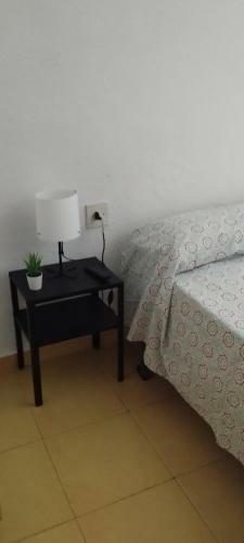 Apartamento Piso En Zaidia