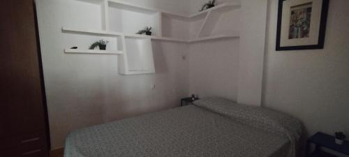 Apartamento Piso En Zaidia