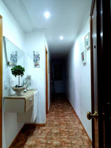 Albufera Rooms