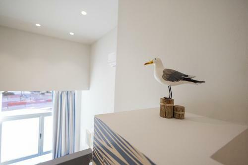 Florit Flats - The Seagull Apartments