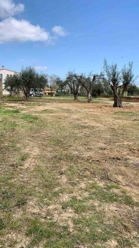 Apartamento La Pomera