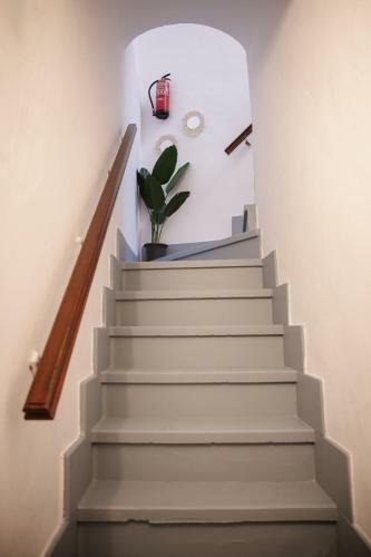Apartamento Vive Trujillo