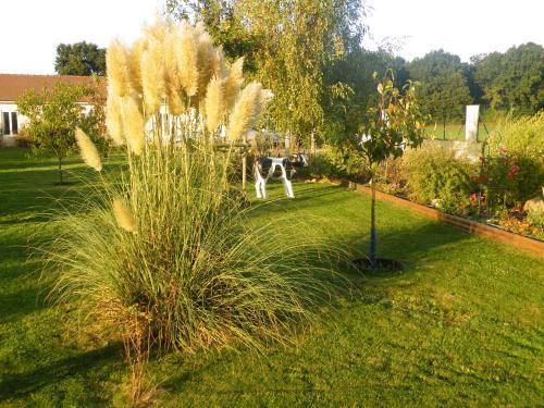 Bed & Breakfast La Rotonde 77